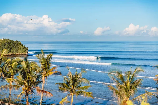 青い海とコストに椰子の木で波をクラッシュします バリ島の水晶の波 — ストック写真