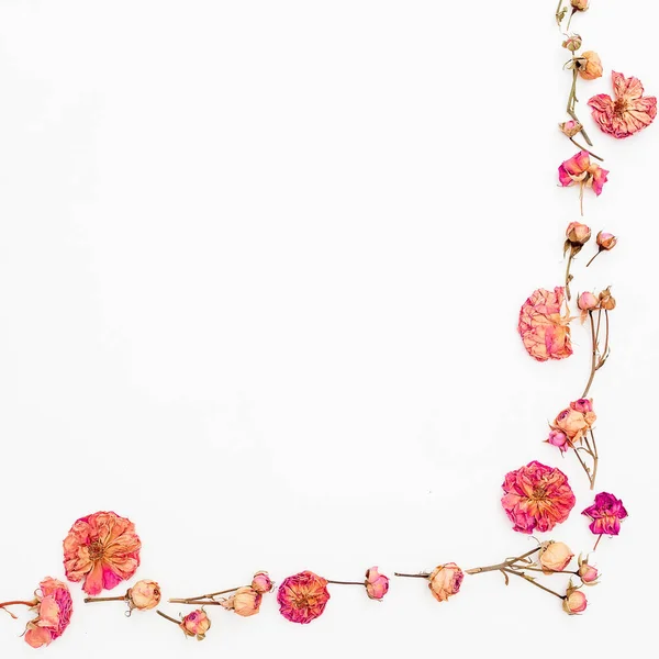 Rosas y hojas rosadas — Foto de Stock