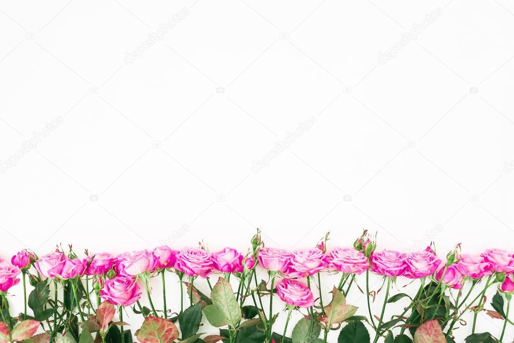 Floral pattern with pink roses on white background. Flat lay, Top view. 