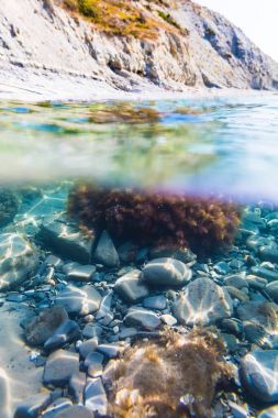 Güneş ışınları ve sualtı içinde taşlar üzerinde deniz yosunu. Denizde, yaz günü temiz su
