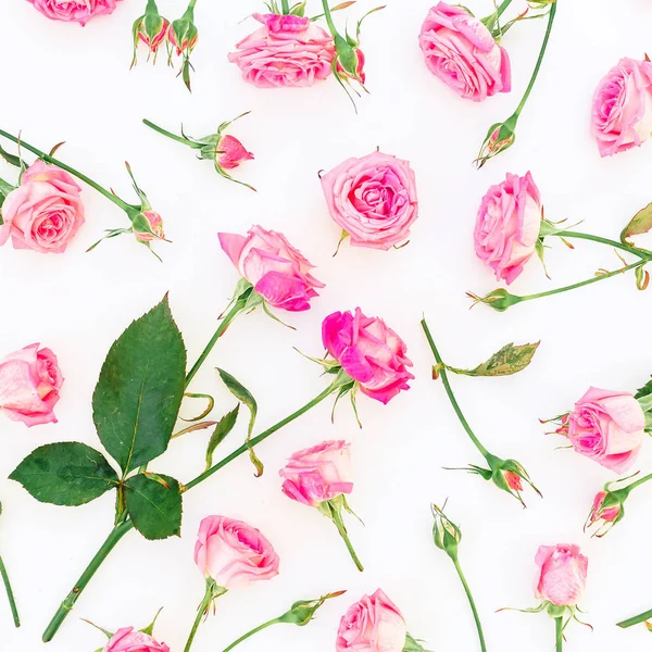 Patrón Floral Con Rosas Rosadas Sobre Fondo Blanco Piso Tendido —  Fotos de Stock