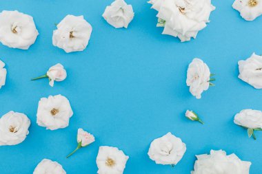 Çerçeve çiçek mavi zemin üzerine beyaz güllerden yapılmış. Düz yatıyordu, en iyi görünüm. Sevgiliye arka plan