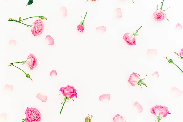 Rosa Tenra Rosas Fundo Branco — Fotografia de Stock