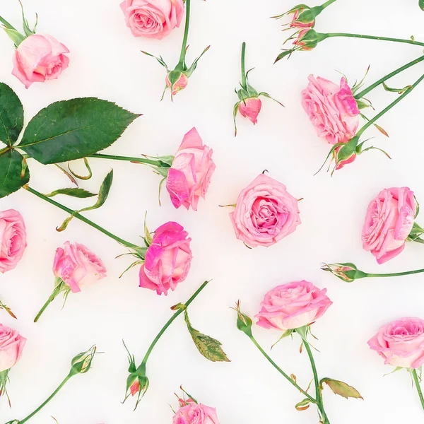 Нежные Розовые Розы Белом Фоне — стоковое фото