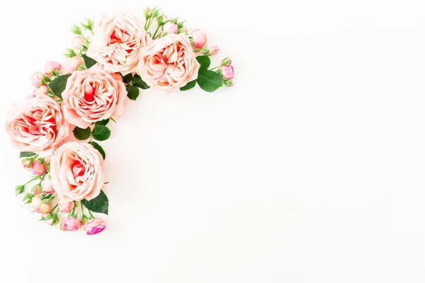 Zarte Rosa Blüten Auf Weißem Hintergrund — Stockfoto