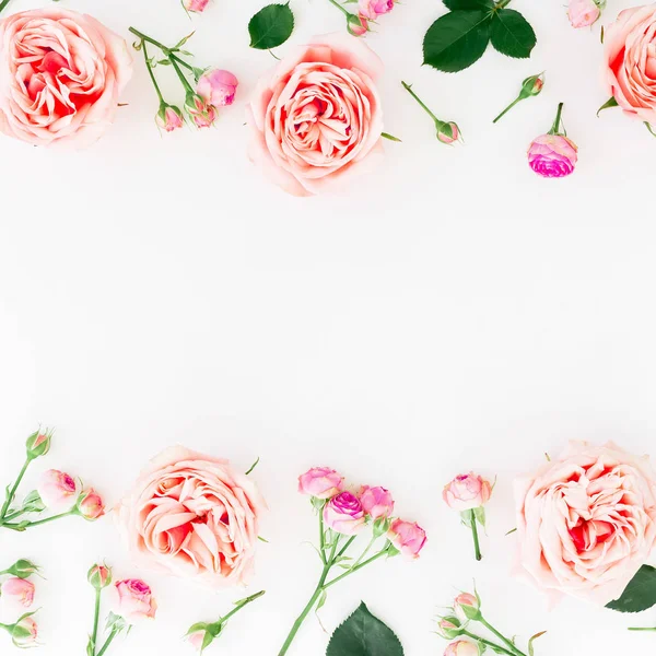 Teder Roze Bloemen Witte Achtergrond — Stockfoto