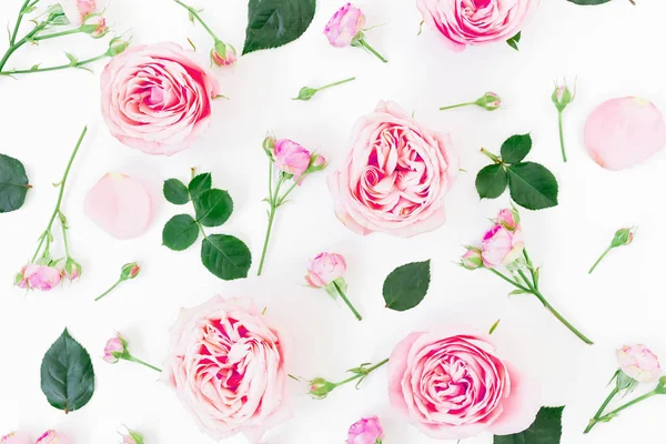 Patrón Floral Con Rosas Rosadas Sobre Fondo Claro Piso Tendido —  Fotos de Stock
