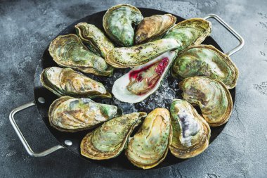 Koyu arka plan üzerinde taze istiridye tabağı. Düz yatıyordu. Üstten Görünüm