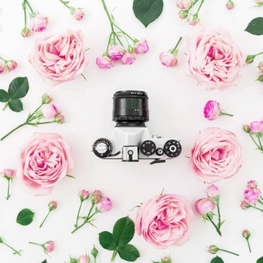 Beyaz arka plan üzerinde orta kamera ile pembe güller