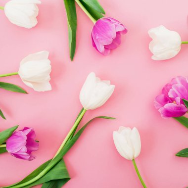 Lale ile çiçek kompozisyon. Düz yatıyordu, en iyi görünümü