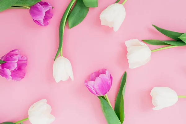 Цветочный Состав Тюльпанами Плоский Вид Сверху — стоковое фото