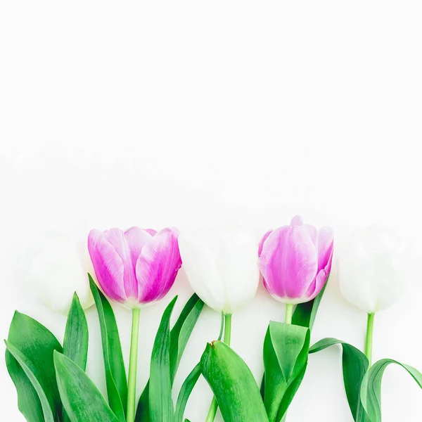 Composição Floral Com Tulipas Fundo Pastel Deitado Plano Vista Superior — Fotografia de Stock