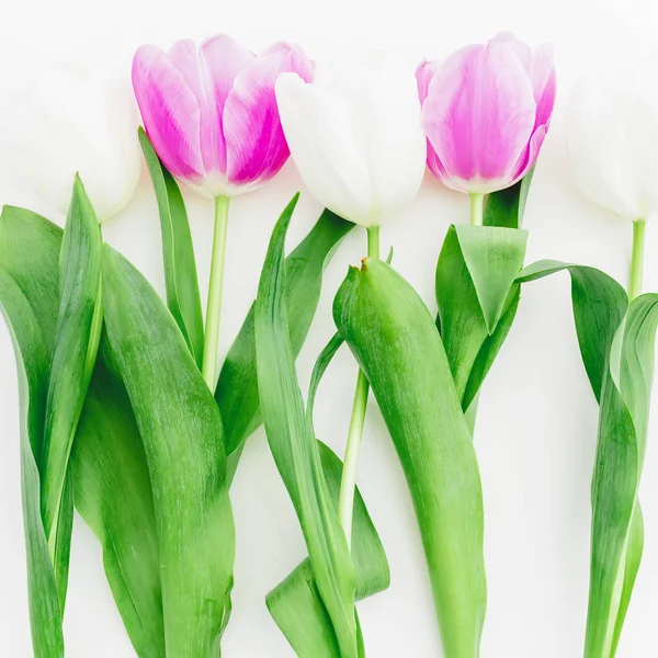 Floral Samenstelling Met Tulpen Pastel Achtergrond Plat Lag Top Uitzicht — Stockfoto