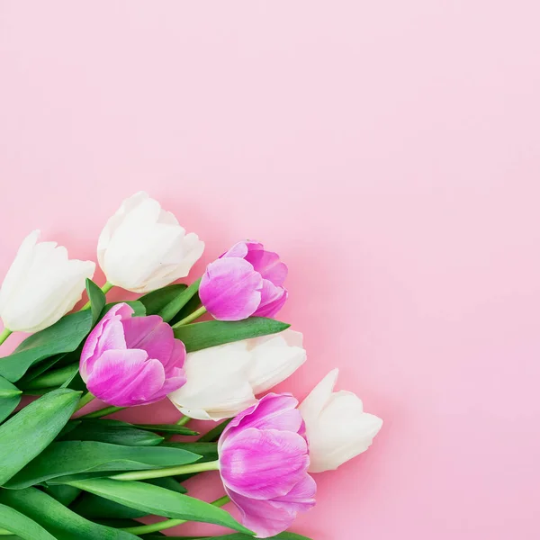 Floral Samenstelling Met Boeket Van Witte Roze Tulpen Pastel Achtergrond — Stockfoto