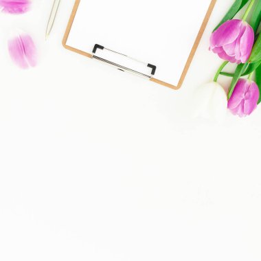 Lale beyaz arka plan üzerinde çevrili battaniye Pano