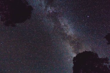 Samanyolu ve dağlarda bazı ağaçları ile gece manzarası