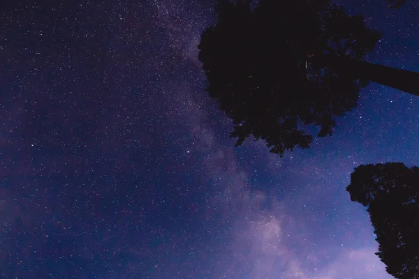 Night Landscape Milky Way Some Trees Mountains — Stock Photo, Image