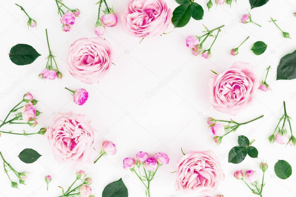 Floral composition with pink roses, branches and leaves on white background. Flat lay, Top view.