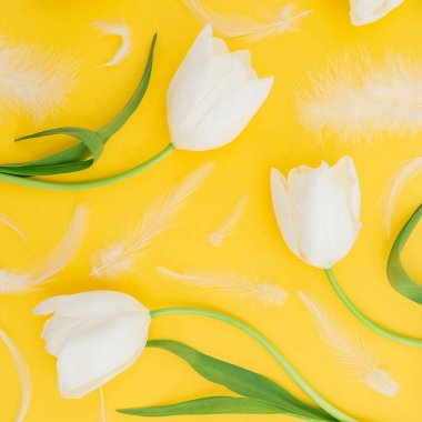 White tulips with tender feathers on yellow background clipart