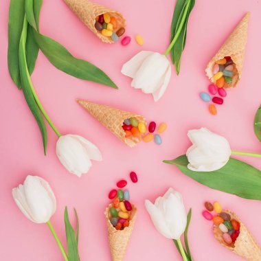 Lale ve pembe bir arka plan üzerinde renkli şekerler çiçek kompozisyonu. Düz yatıyordu, en iyi görünümü