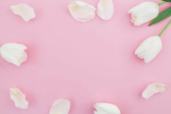 Цветочный Состав Тюльпанами Плоский Вид Сверху — стоковое фото