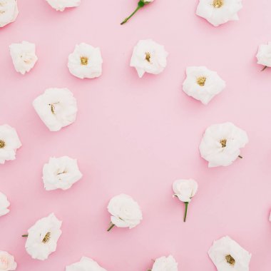 Pembe bir arka plan üzerinde beyaz çiçek çiçek çerçeve yaptı. Düz yatıyordu, en iyi görünüm. Sevgiliye arka plan