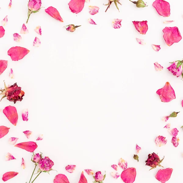 Kuru Güller Beyaz Arka Plan Üzerinde Yuvarlak Yaprakları Çiçek Kompozisyonu — Stok fotoğraf