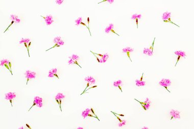 Pembe çiçekler ile çiçek kompozisyon. Düz yatıyordu, en iyi görünümü.