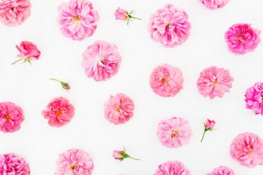 Pembe çiçekler ile çiçek kompozisyon. Düz yatıyordu, en iyi görünümü.