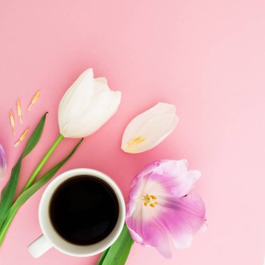 Lale ve kahve ile çiçek kompozisyon. Düz yatıyordu, en iyi görünümü