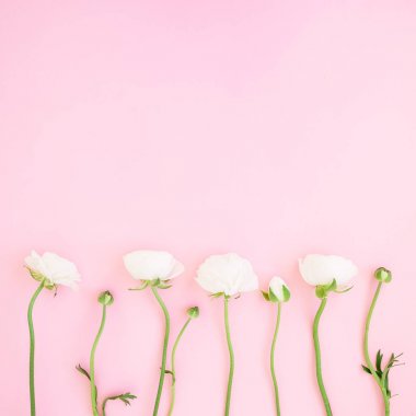 Pembe bir arka plan üzerinde beyaz çiçeklerden yapılmış çiçek kompozisyon. Düz yatıyordu, en iyi görünüm. Sevgiliye arka plan