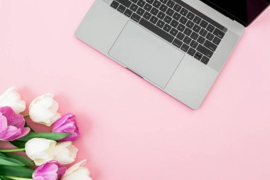 Laptop ve lale çiçekleri pembe bir arka plan üzerinde. Düz yatıyordu. Üstten Görünüm. Kopya alanı ile kompozisyon.