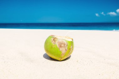 Tropikal plaj, okyanus ve Hindistan cevizi Bali