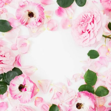 Pembe Gül çiçek beyaz arka plan üzerinde. Düz yatıyordu, en iyi görünüm. Çiçekler doku.