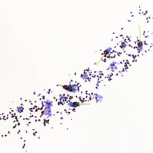 Wzór Naturalnego Niebieskie Kwiaty Białym Tle Widok Płaski Świeckich Top — Zdjęcie stockowe