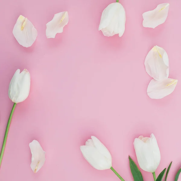 Цветочная Композиция Белыми Тюльпанами Лепестками Розовом Фоне — стоковое фото