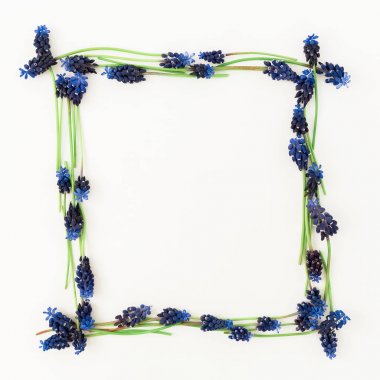 Beyaz arka plan üzerinde izole mavi çiçeklerden yapılmış kare çerçevenin Üstten Görünüm