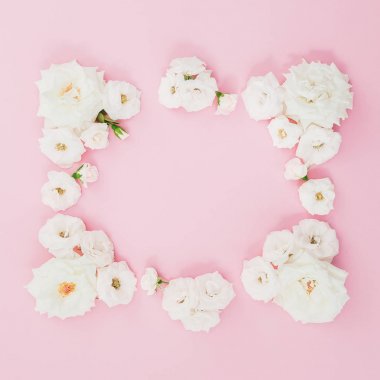 Pembe bir arka plan üzerinde beyaz gül çiçek kompozisyon 