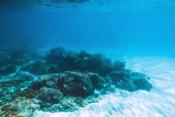 Mercanlar Mavi Altında Doğal Görünümü — Stok fotoğraf