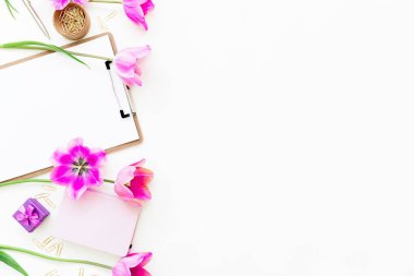 İleti örneği ile taze Pembe Lale üstten görünüm beyaz arka plan üzerinde