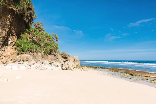 Schilderachtig Uitzicht Blauwe Serene Zee Zandstrand Met Groene Bomen — Stockfoto