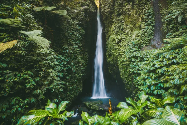 緑の森の高い熱帯の滝の美しい景色 — ストック写真