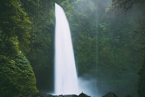 緑の森の高い熱帯の滝の美しい景色 — ストック写真