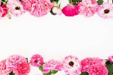 Beyaz arka plan üzerinde taze pembe Güllü çerçeve çiçek