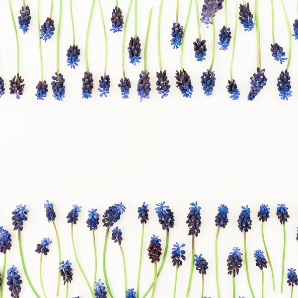 Top View Frame Made Blue Flowers Isolated White Background — Stock Photo, Image