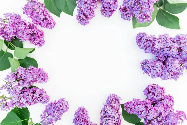 Vue Dessus Beau Cadre Fleurs Lilas Violet Sur Fond Blanc — Photo
