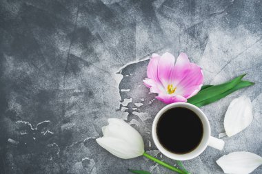 Güzel Lale çiçek kahve fincanı ile üstten görünüm gri arka plan üzerinde