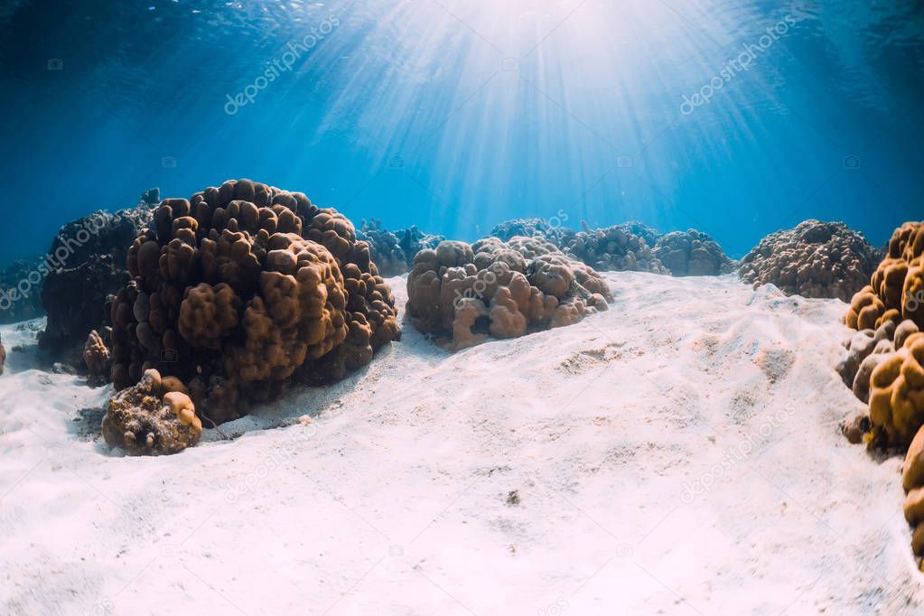 Ocean with sandy bottom and coral underwater in Hawaii