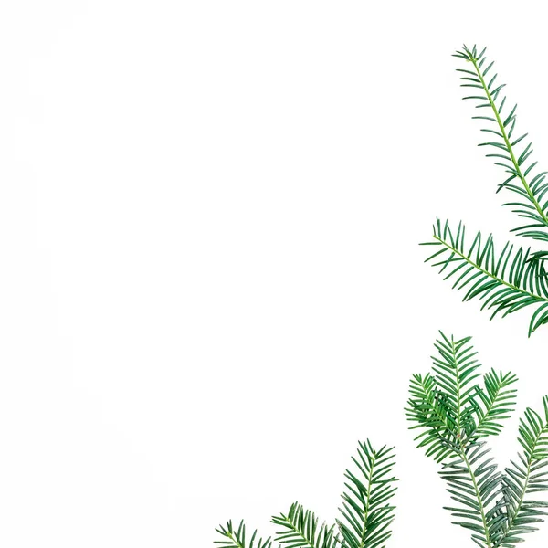 Christmas concept of fir branches on white background. Holiday b — Stock Photo, Image