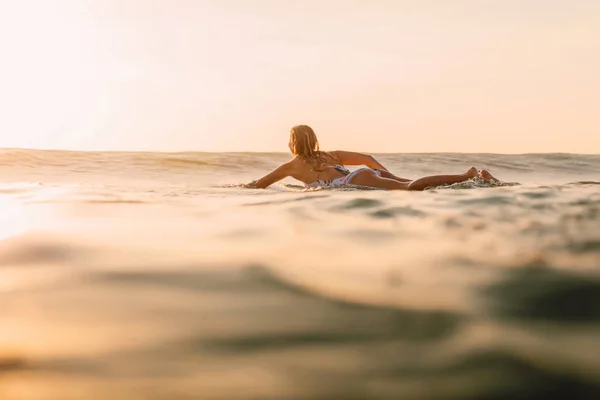 Aantrekkelijke Surfer Vrouw Een Surfplank Oceaan Surfmeisje Bij Zonsondergang — Stockfoto